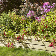 Ledbury Border Edging